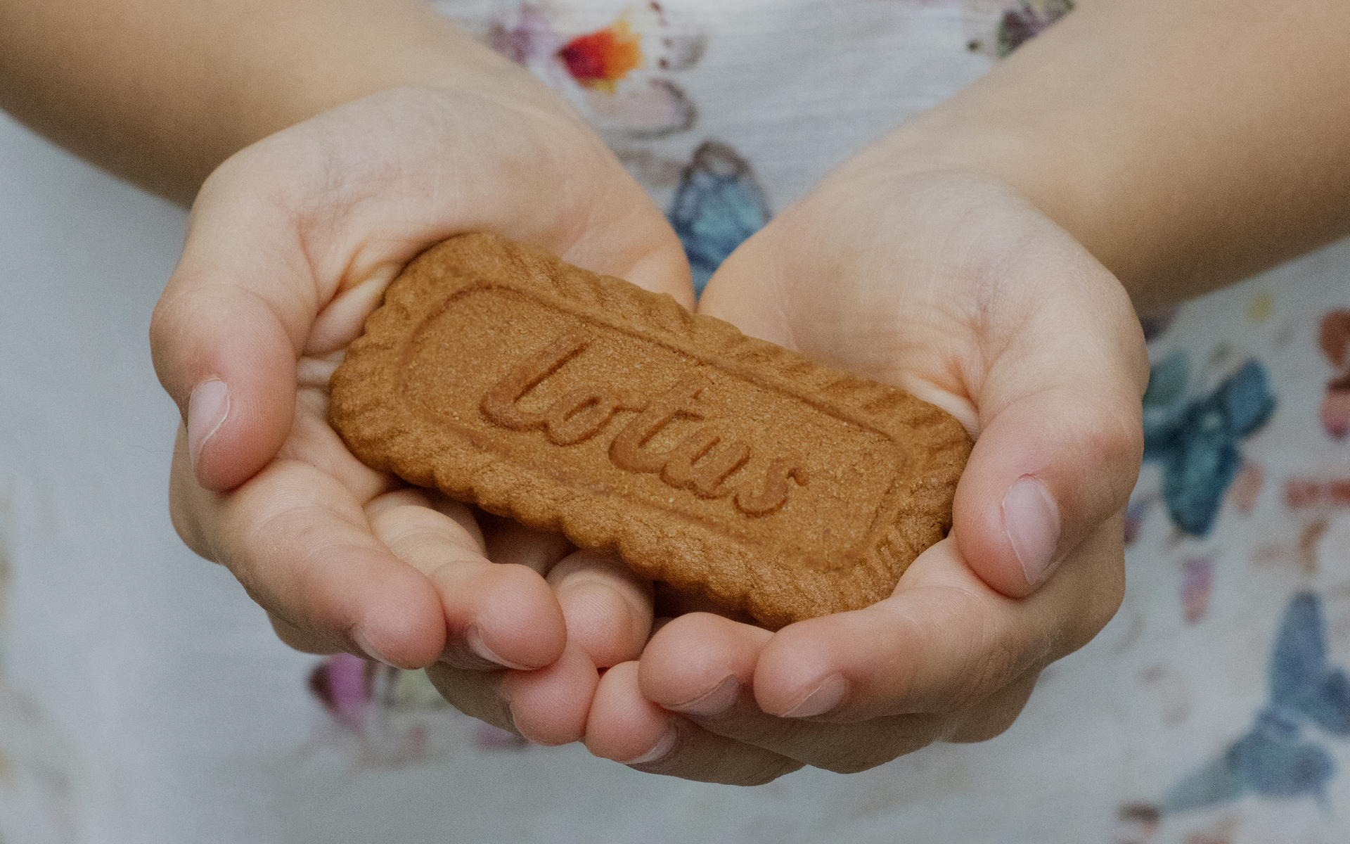 Picture of a pack of biscuits with the logo of Lotus Speculoos for