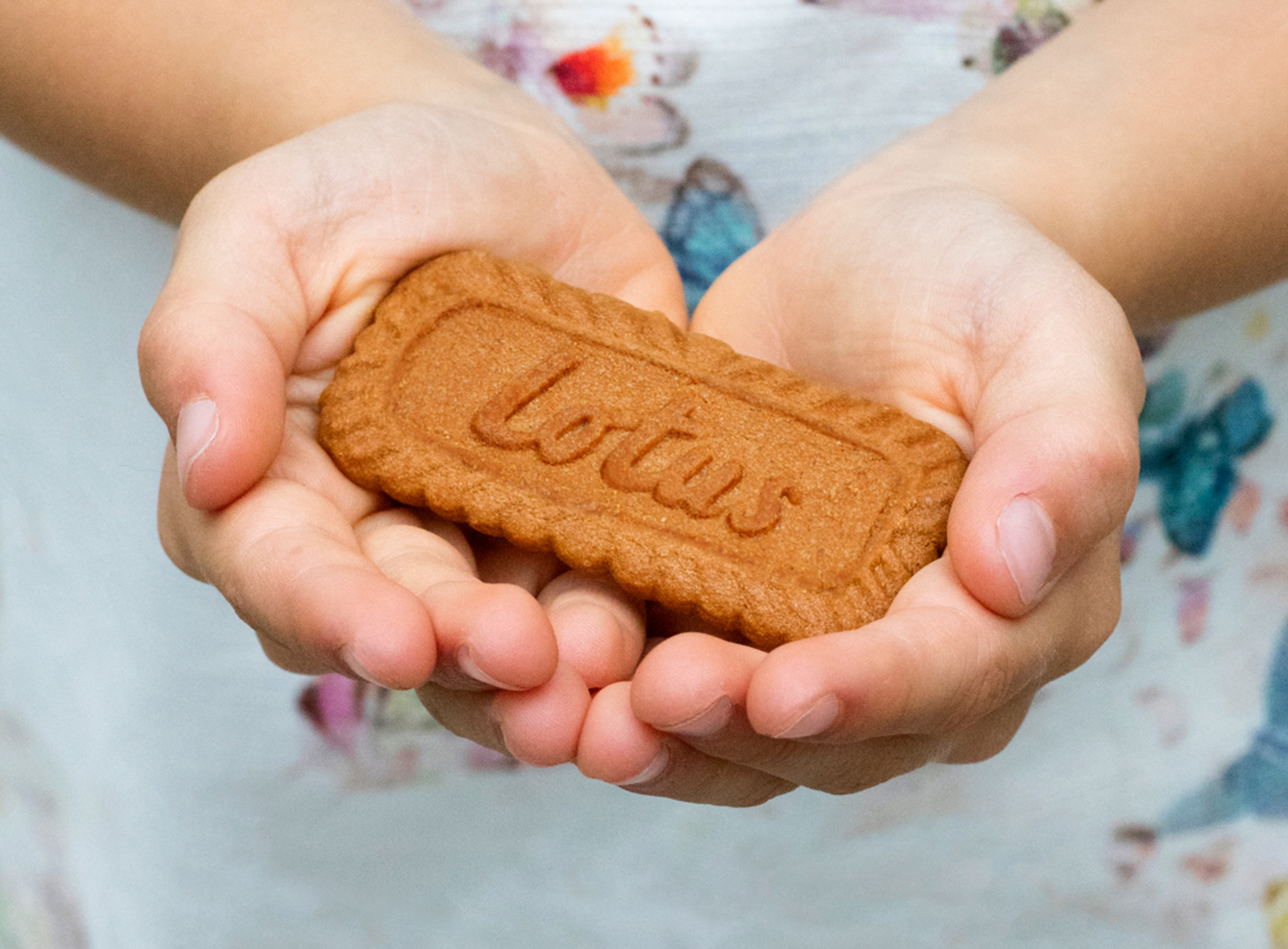 lotus bakery biscoff cookies